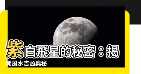 紫白飛星的斷法|什麼是紫白飛星？ 